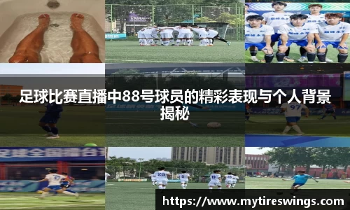 中欧体育新版本