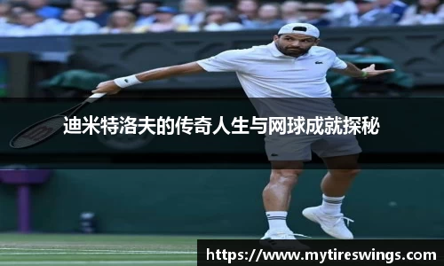迪米特洛夫的传奇人生与网球成就探秘
