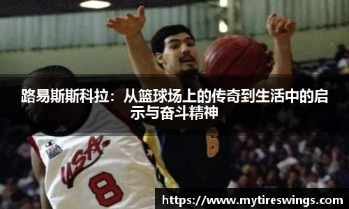 中欧体育新版本