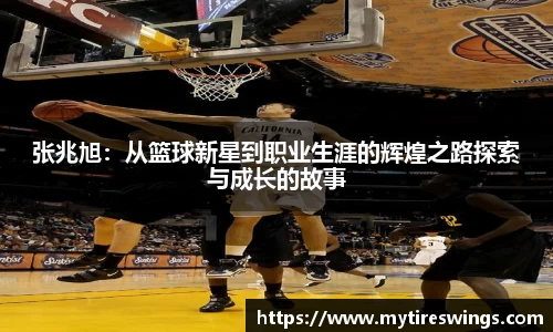 中欧体育新版本