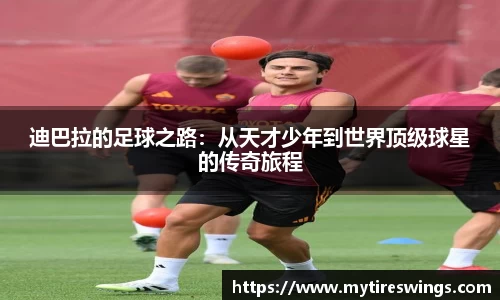 中欧体育官方网站